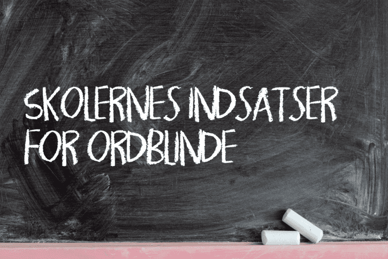 Skolernes indsatser for ordblinde