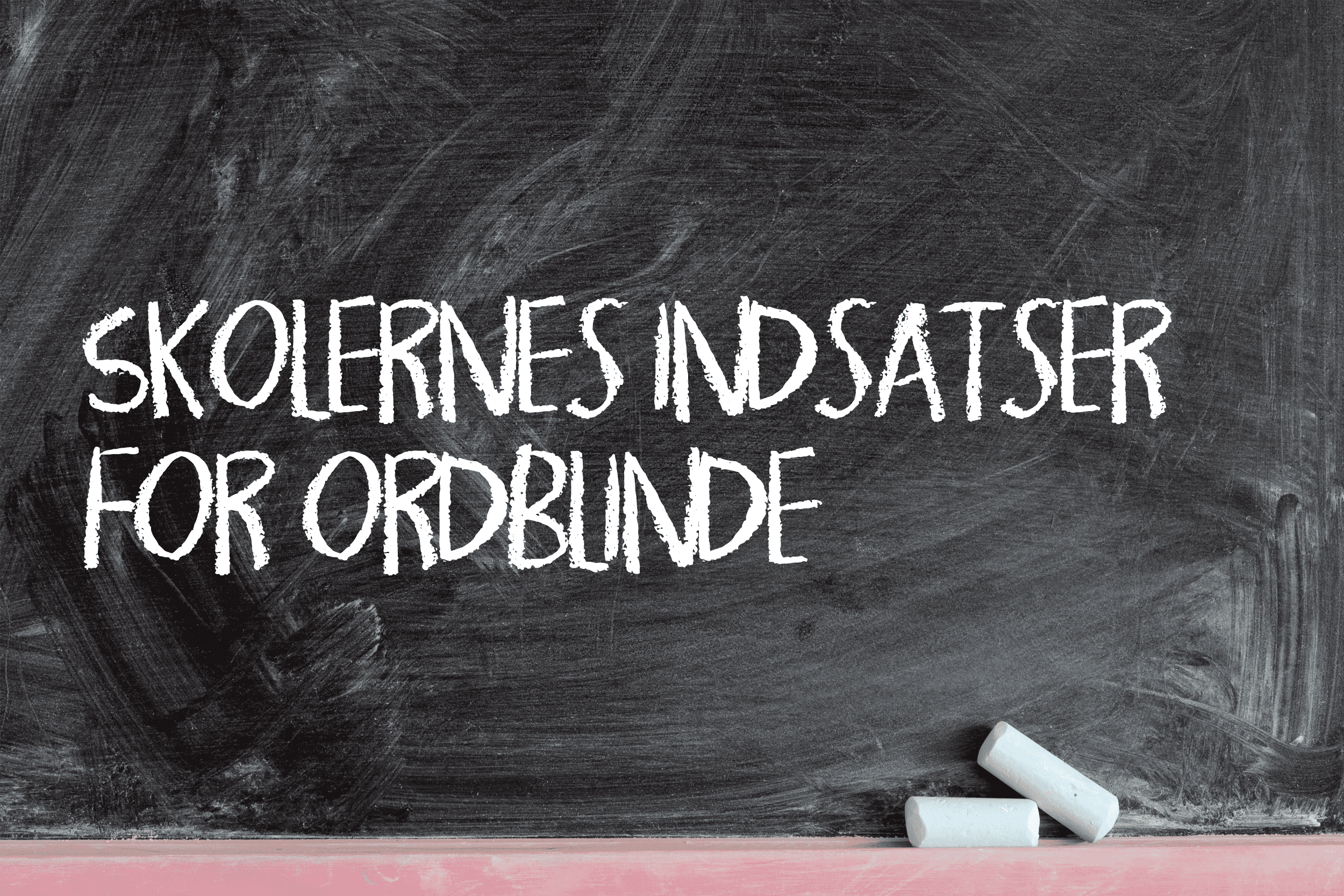 Skolernes indsatser for ordblinde