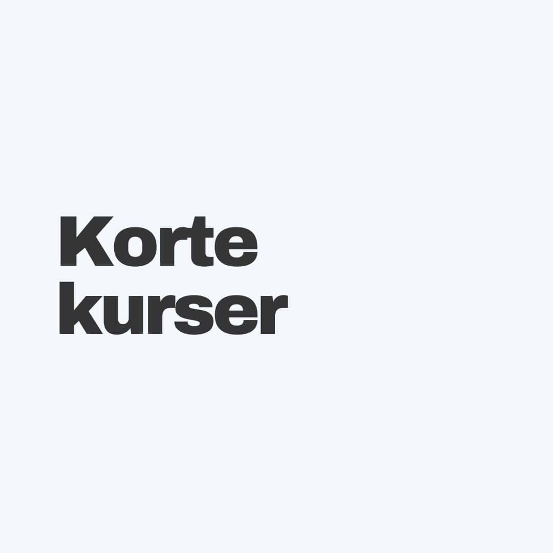 Hvad siger forskningen om den bedste læseundervisning?