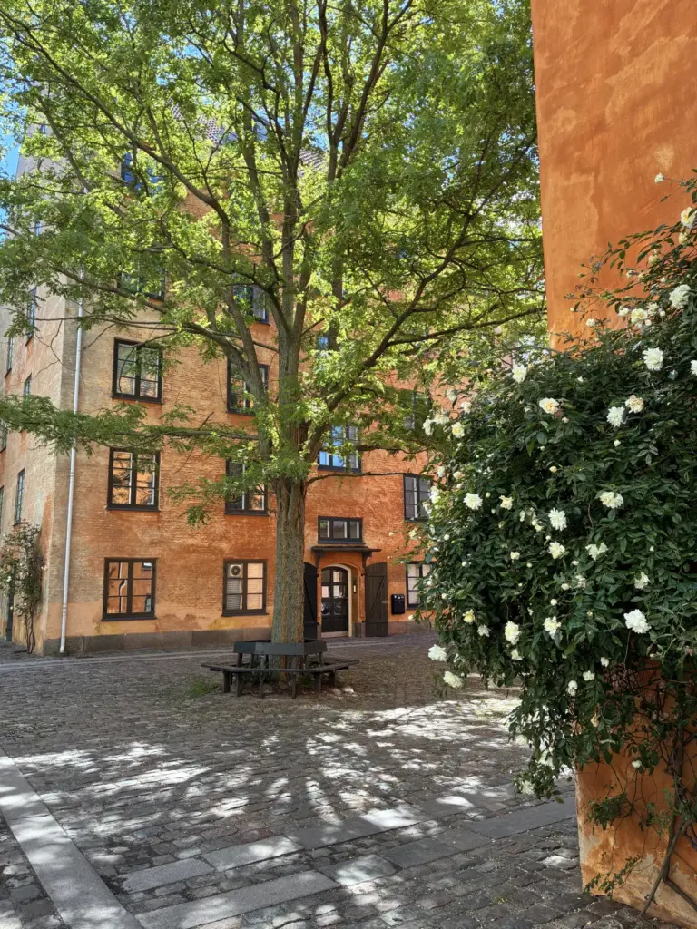 Læserum med børnebøger hos Carina Nord